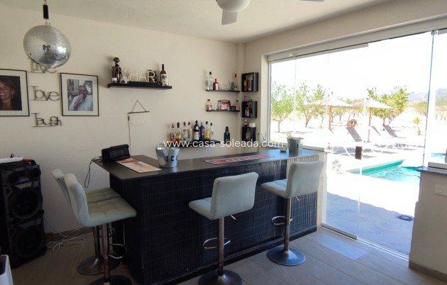 Revente - Villa - Pinoso - Inland