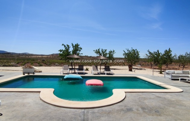 Revente - Villa - Pinoso - Inland