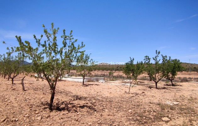 Revente - Villa - Pinoso - Inland