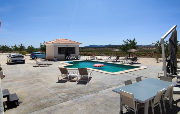 Revente - Villa - Pinoso - Inland