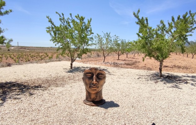 Revente - Villa - Pinoso - Inland