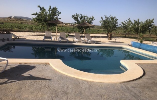 Revente - Villa - Pinoso - Inland