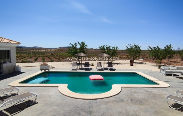 Revente - Villa - Pinoso - Inland