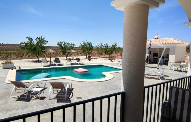 Revente - Villa - Pinoso - Inland