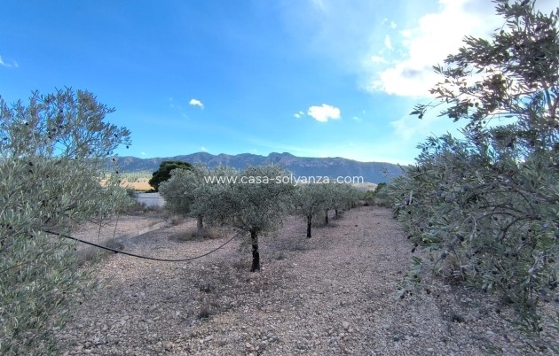Revente - Country Property/Finca - Yecla - Inland