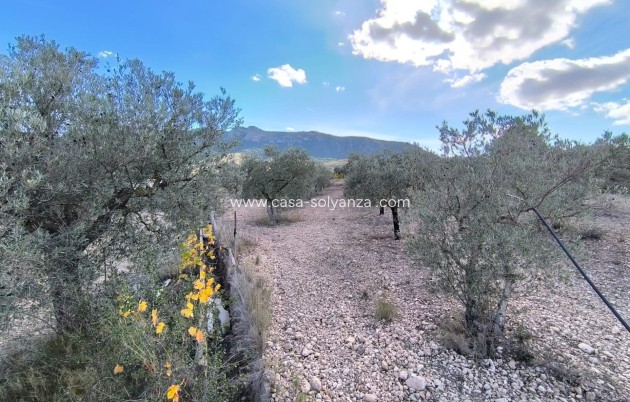 Revente - Country Property/Finca - Yecla - Inland