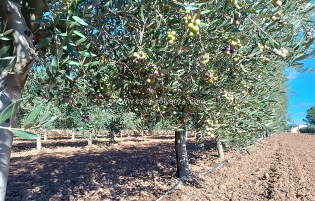 Revente - Villa - Yecla - Inland