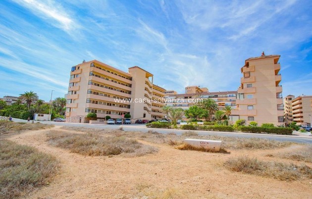 Herverkoop - Appartement / flat - Torrevieja - Cabo cervera