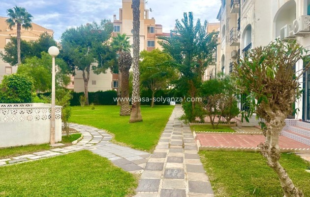 Revente - Appartement - Torrevieja - Estacion Autobuses