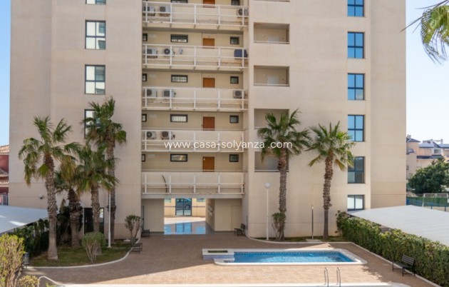 Wiederverkauf - Wohnung - Torrevieja