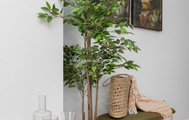 Revente - Appartement - Guardamar del Segura - Guardamar