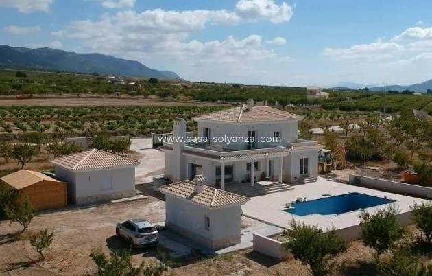 Nouvelle construction - Villa - Pinoso - Camino Del Prado