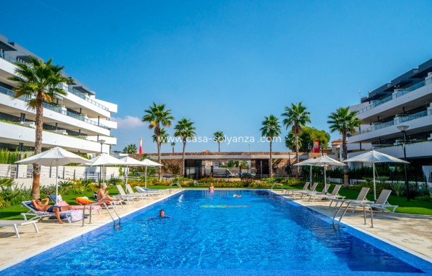 Herverkoop - Appartement / flat - Playa Flamenca - Flamenca Village