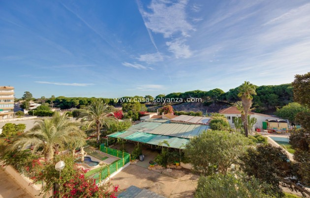 Revente - Appartement - Guardamar del Segura - Pinomar