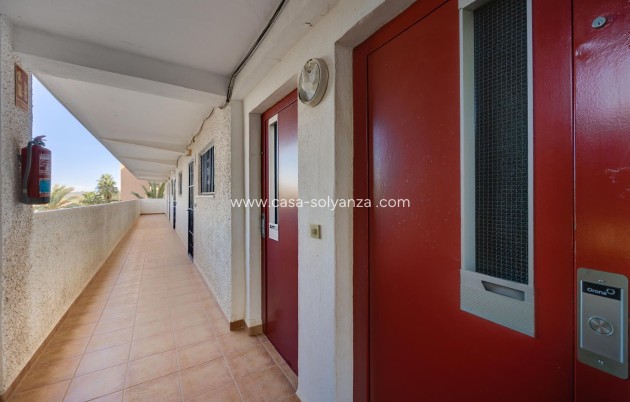 Revente - Appartement - Guardamar del Segura - Pinomar