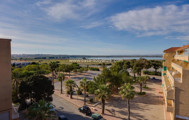 Revente - Appartement - Guardamar del Segura - Pinomar