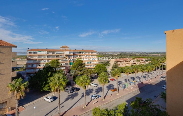 Revente - Appartement - Guardamar del Segura - Pinomar