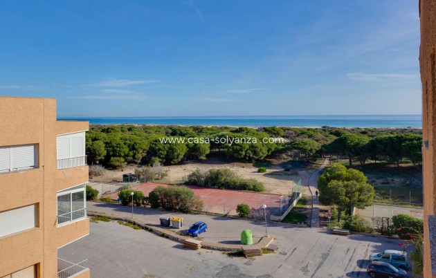 Revente - Appartement - Guardamar del Segura - Pinomar