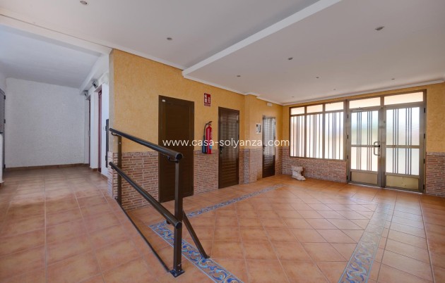 Revente - Appartement - Guardamar del Segura - Pinomar