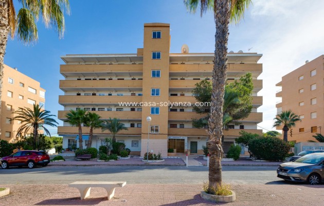 Revente - Appartement - Guardamar del Segura - Pinomar