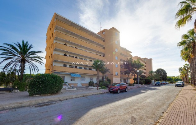 Revente - Appartement - Guardamar del Segura - Pinomar
