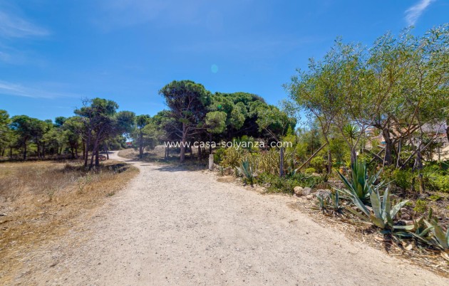 Revente - Appartement - Guardamar del Segura - Pinomar