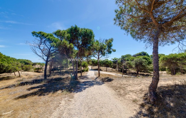 Revente - Appartement - Guardamar del Segura - Pinomar