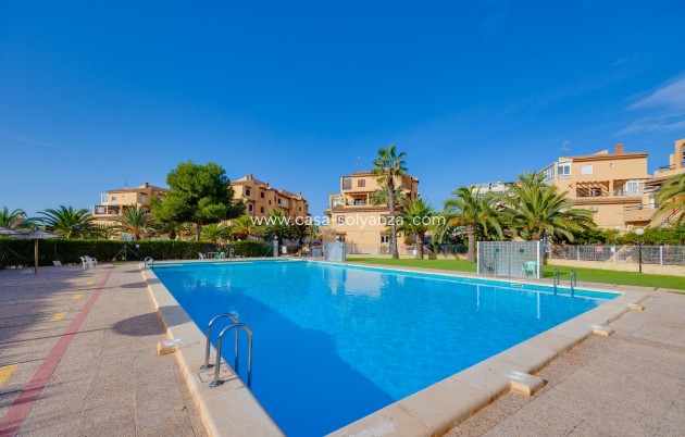 Revente - Estudio - Torrevieja - Torreblanca