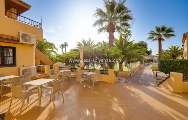 Revente - Estudio - Torrevieja - Torreblanca