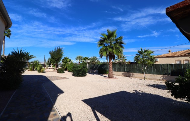 Revente - Country Property/Finca - Catral - Catral - Country