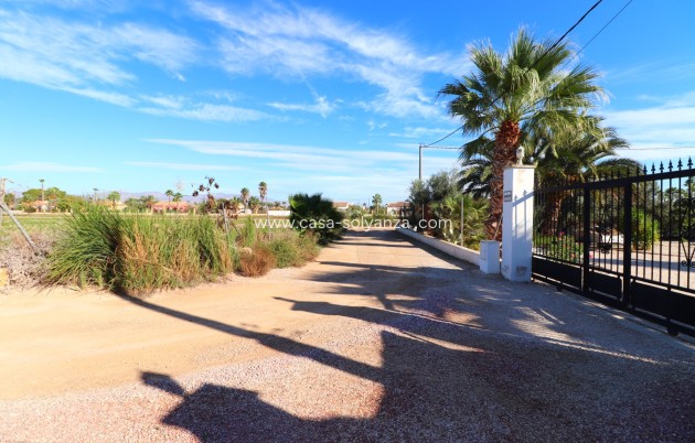 Revente - Country Property/Finca - Catral - Catral - Country