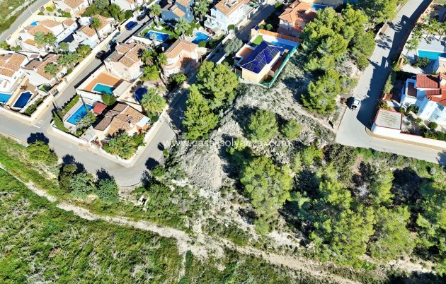 Wiederverkauf - Land - San Miguel de Salinas