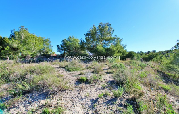 Wiederverkauf - Land - San Miguel de Salinas