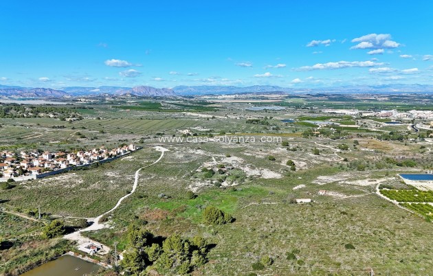 Wiederverkauf - Land - San Miguel de Salinas