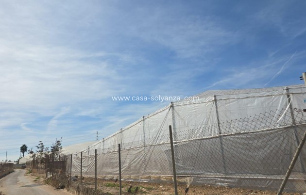 Wiederverkauf - Stadthaus - Pilar de la Horadada