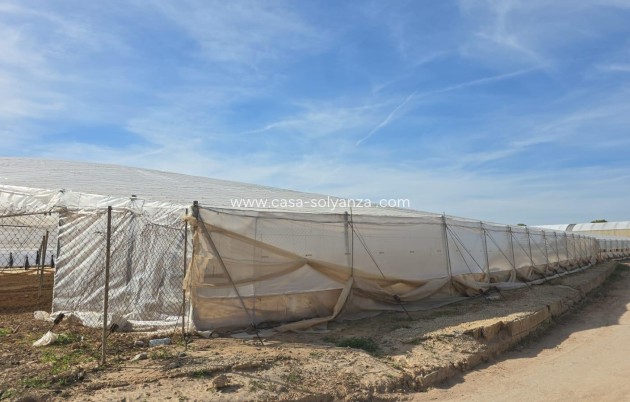 Wiederverkauf - Stadthaus - Pilar de la Horadada