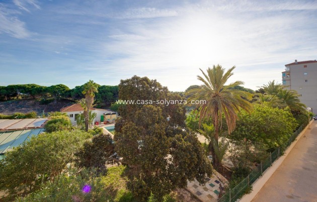 Revente - Appartement - Guardamar del Segura - Pinomar