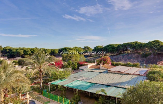 Revente - Appartement - Guardamar del Segura - Pinomar