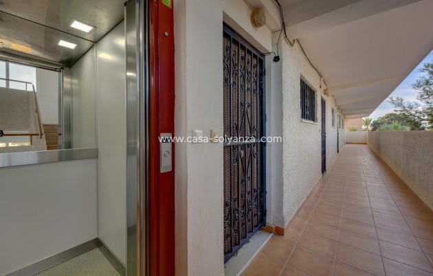 Revente - Appartement - Guardamar del Segura - Pinomar