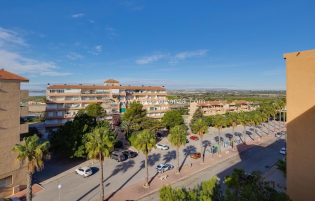 Revente - Appartement - Guardamar del Segura - Pinomar