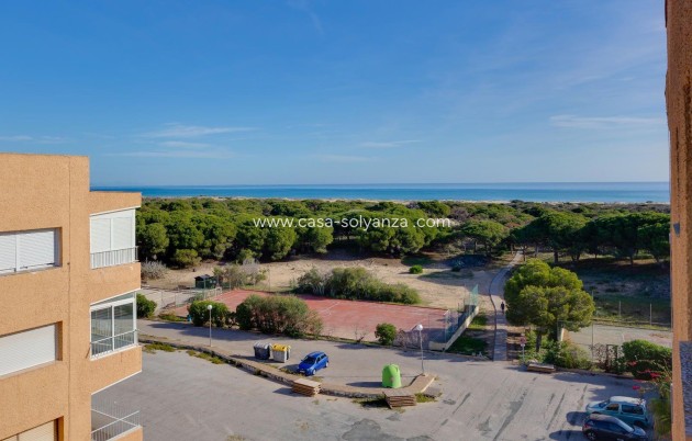 Revente - Appartement - Guardamar del Segura - Pinomar