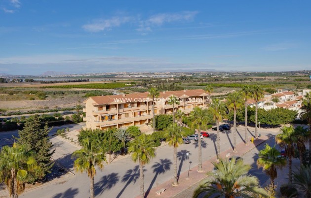 Revente - Appartement - Guardamar del Segura - Pinomar