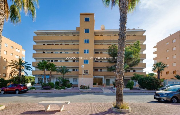 Revente - Appartement - Guardamar del Segura - Pinomar