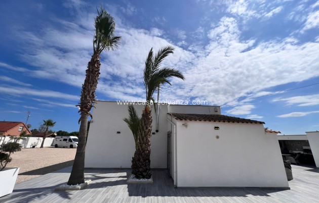 Revente - Country Property/Finca - Elche - Inland