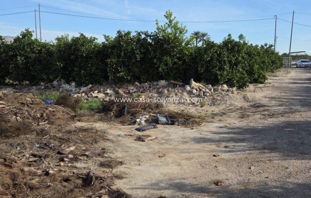 Revente - Country Property/Finca - Albatera - Inland