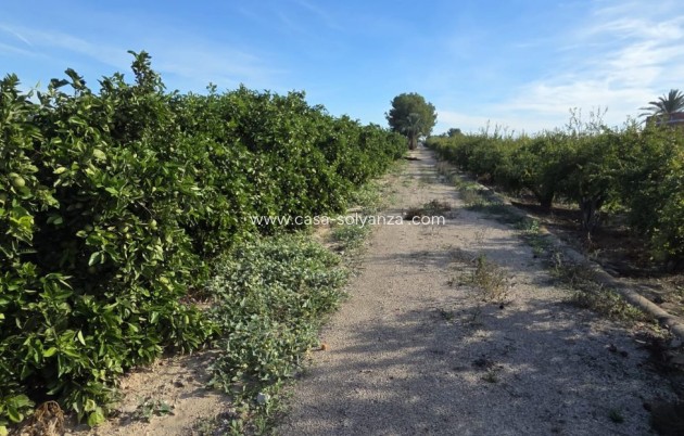 Revente - Country Property/Finca - Albatera - Inland