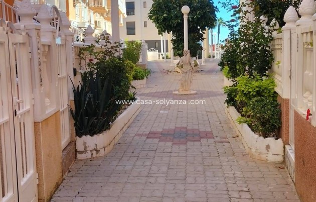 Revente - Appartement - Torrevieja - La Mata