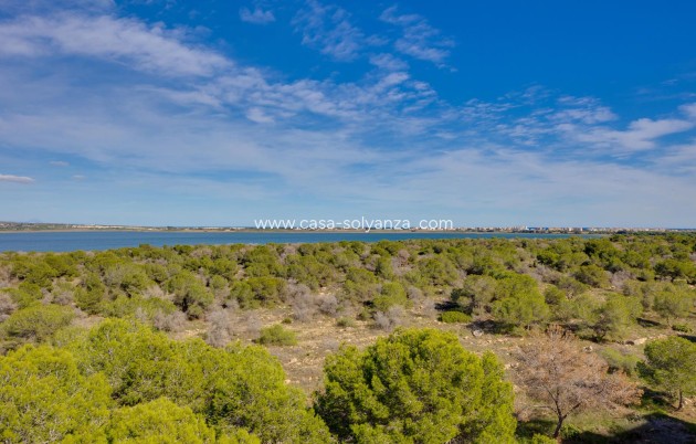 Revente - Appartement - Torrevieja - San Luis