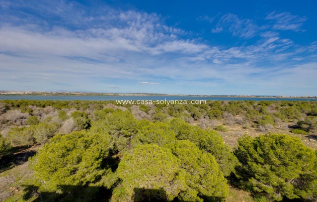 Revente - Appartement - Torrevieja - San Luis