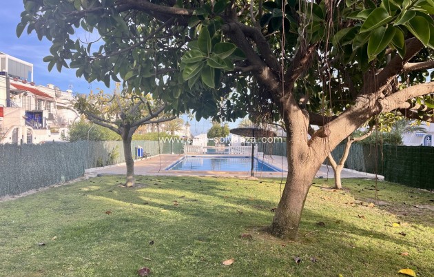 Herverkoop - Appartement / flat - Torrevieja - Costa Blanca